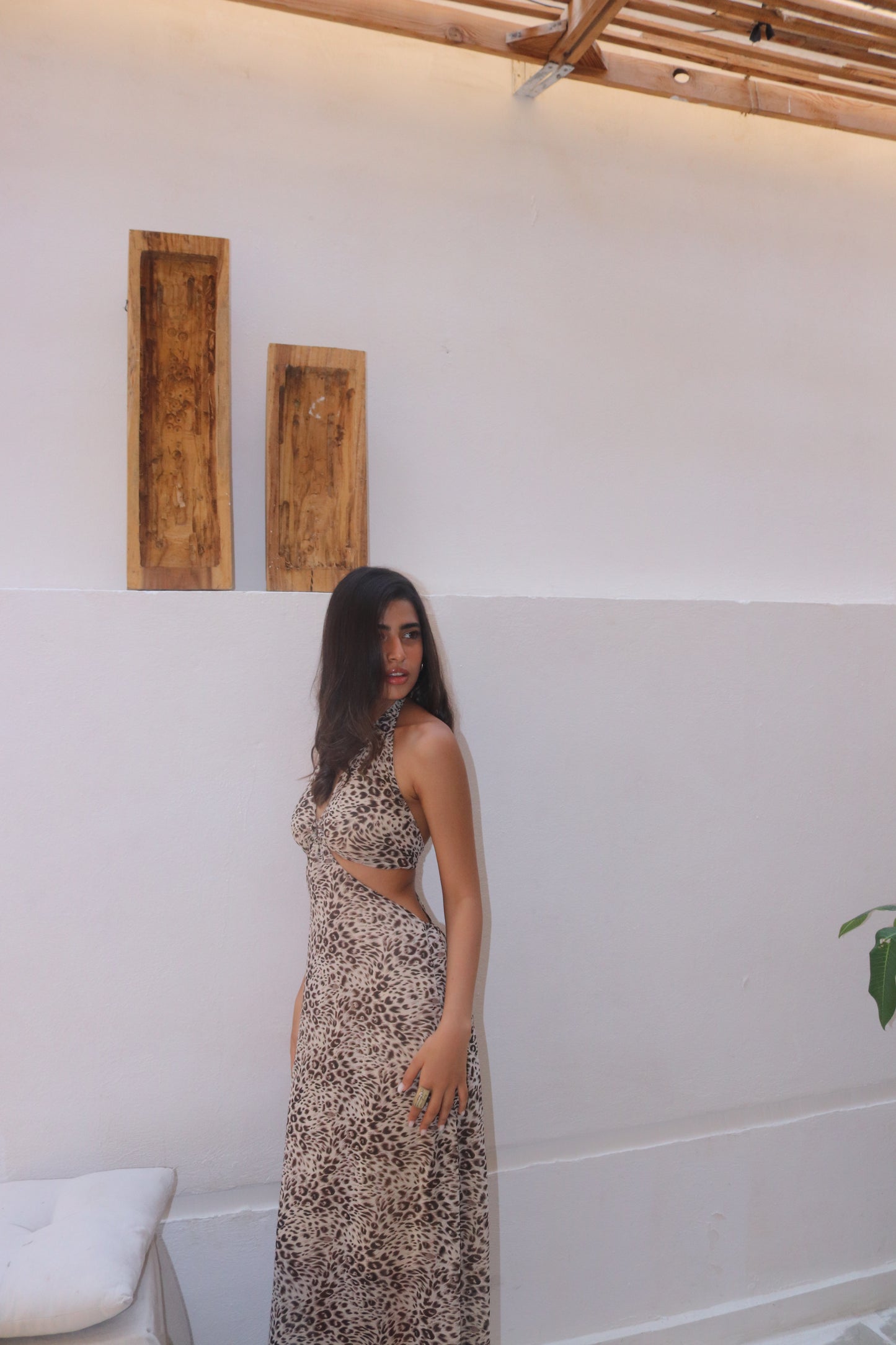 Leopard Dress