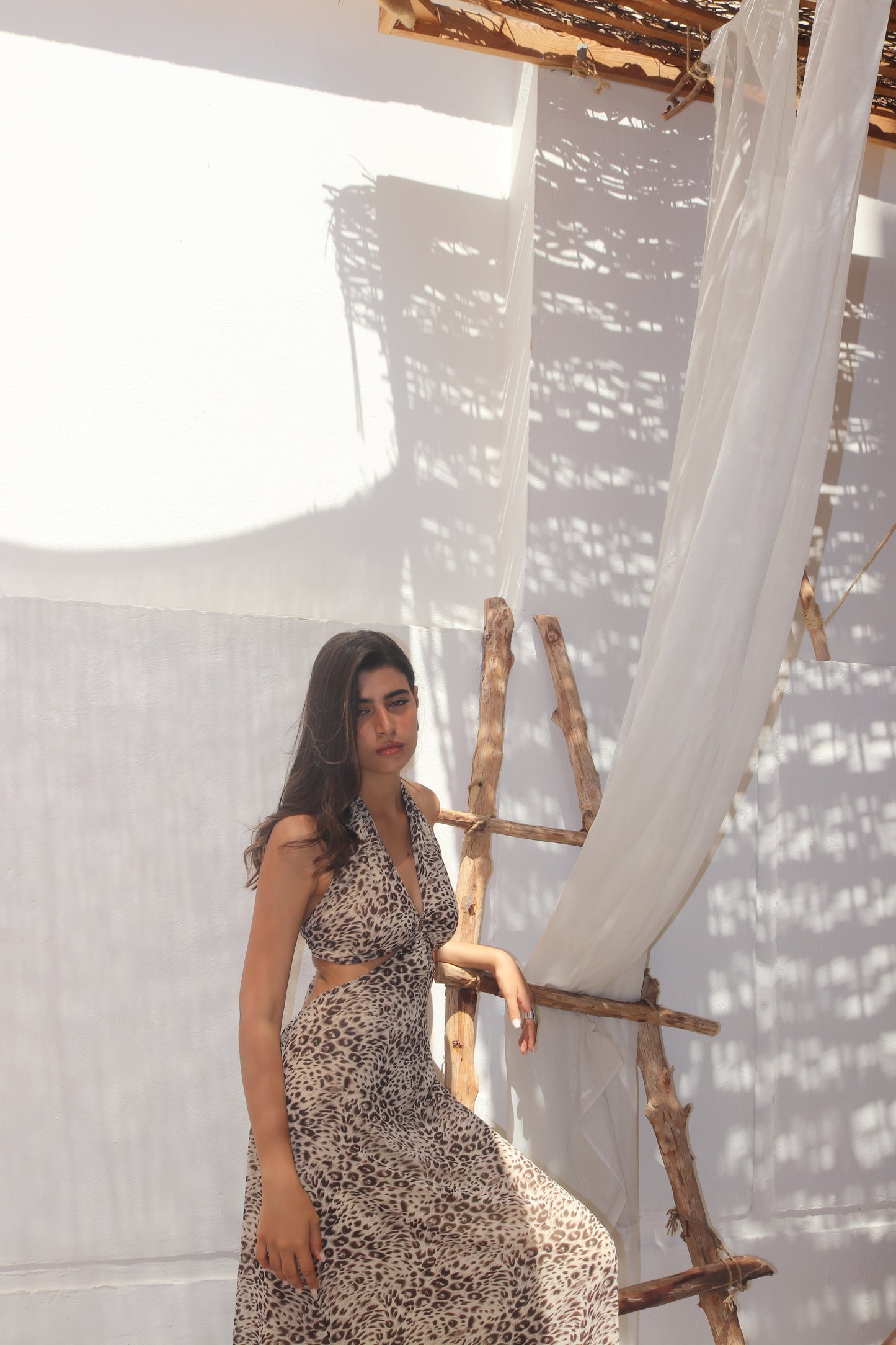 Leopard Dress